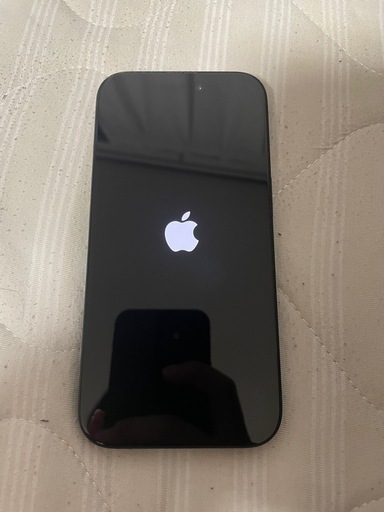 超美品iPhone16 256gb 100%バッテリー