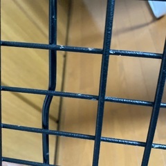 大型犬用クレートの画像