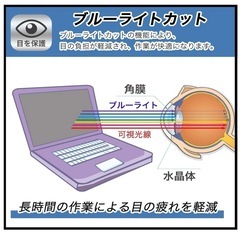 14インチプルーレイプレーヤーモニターフィルムの画像