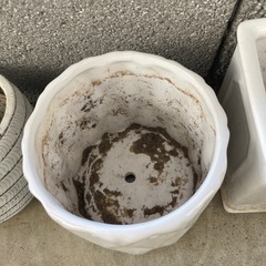 プランター　陶器の画像