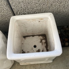プランター　陶器の画像