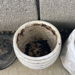 プランター　陶器の画像