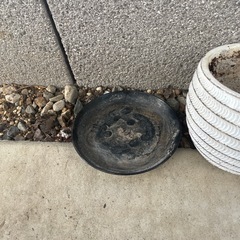 プランター　陶器の画像