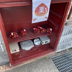 栗🌰だいたい800g✨格安‼️の画像