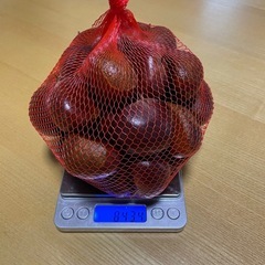栗🌰だいたい800g✨格安‼️の画像