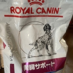 ロイヤルカナン 腎臓サポート の画像