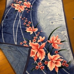 シングル二枚重ね毛布 2枚組の画像