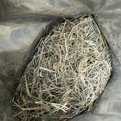 バミューダ（ペット用牧草）お譲り致しますの画像