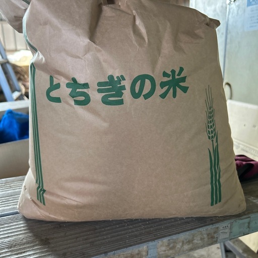 Ｒ6年産コシヒカリ玄米30キロ一袋のみ