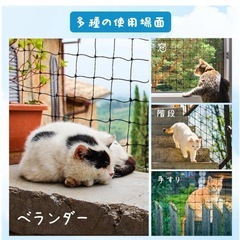 ネット 猫 脱走防止 ベランダ  網  目合い30mmの画像