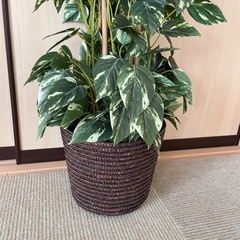 フェイクグリーン ポトス 観葉植物 造花 インテリア 鉢カバー付きの画像