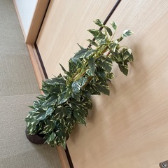 フェイクグリーン ポトス 観葉植物 造花 インテリア 鉢カバー付きの画像