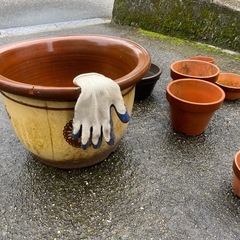 植木鉢各種の画像