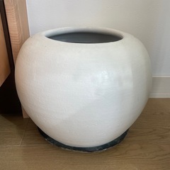 大型　中型の鉢の画像