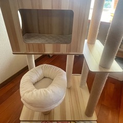 キャットタワーの画像