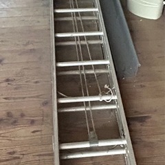 長いハシゴの画像