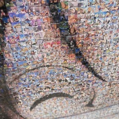 ONE PIECEの画像