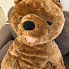 くまの画像