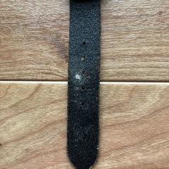 腕時計の画像
