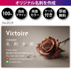 名刺印刷 100枚 両面 フルカラー 紙ケース付 No.2…