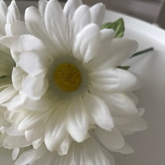 造花6本セット+おまけの画像