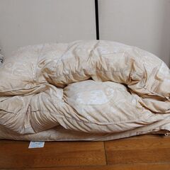 羽毛掛け布団　150㎝×210㎝　重量1.6㎏　ふとんスタジオの画像