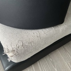 早い者勝ち！ニトリ 2人用布張りソファの画像