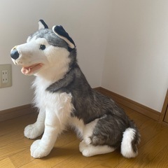 犬　ぬいぐるみの画像