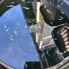 ワカサギラメ　めだかメダカの画像