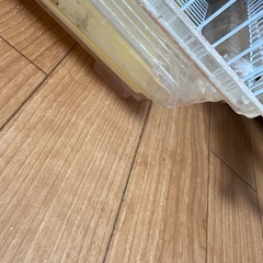 【無料】鳥かごの画像