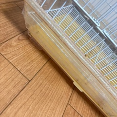 【無料】鳥かごの画像