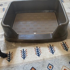 犬のトイレトレーの画像