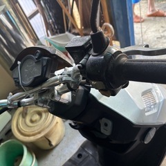 PIGOの画像