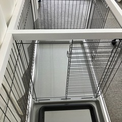 ドックルームサークルの画像