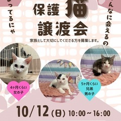 10月12日日曜日観に来られる方