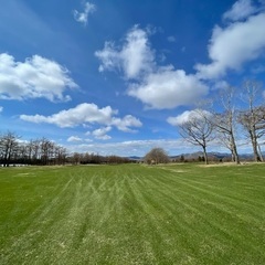 ゴルフ友達募集中⛳️女性限定🔰
