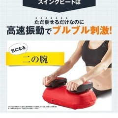 【受付10/15まで】YA-MANスイングビートの画像