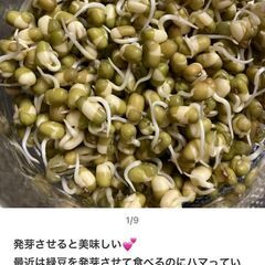 【未開封】緑豆　200gの画像