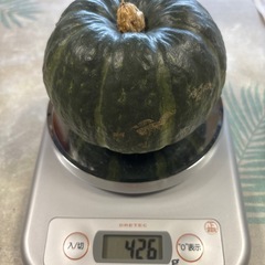 無農薬　かぼちゃ　2個の画像