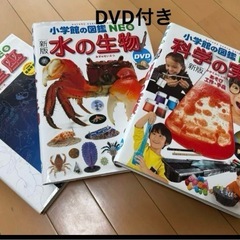  Neo図鑑　他　小学生　本　14冊　まとめての画像