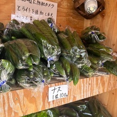 本日のみきゅうり限定5袋購入につき、1袋サービス10袋購入につき3袋サービス　朝取り立て、新鮮野菜の画像