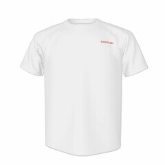 大人気　カワサキ　ニンジャロゴ入り　オリジナルドライTシャツ　ホワイト　非売品　Lサイズ　未使用の画像
