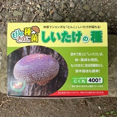くぬぎ　原木しいたけ　20本　細め　駒打ち完了　ホダ木　本伏せ中の画像