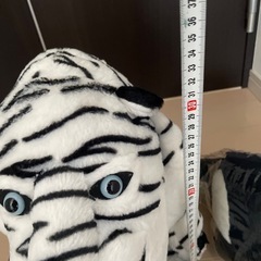 ホワイトタイガーとイルカのぬいぐるみの画像