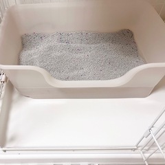 獣医が考えたトイレの画像