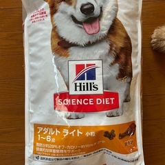 新品未使用 ドッグフード類セット
　 の画像