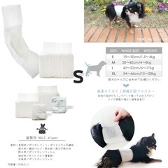 🐾男の子用マナーパンツの画像