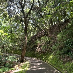 ウォーキング仲間募集しています!!