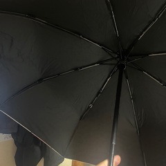 ラブブ傘の画像