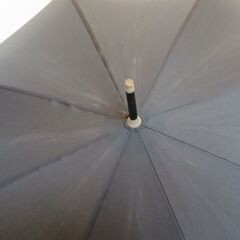 ポロラルフローレン　雨傘の画像